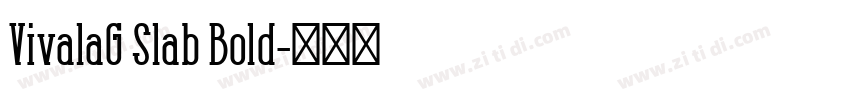 VivalaG Slab Bold字体转换